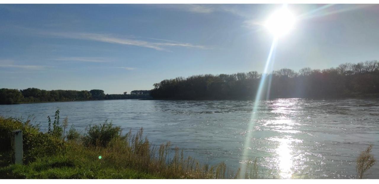 Urlaub Am Rhein Speyer Hockenheim Appartement