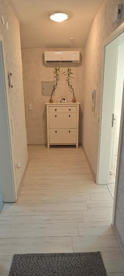Urlaub Am Rhein Speyer Hockenheim Appartement